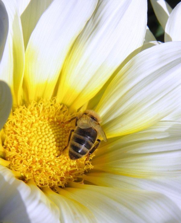 environnement au maroc
